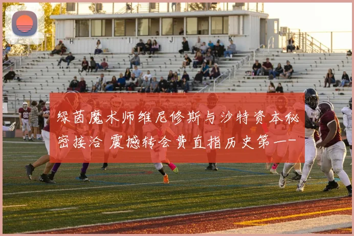 绿茵魔术师维尼修斯与沙特资本秘密接洽 震撼转会费直指历史第一