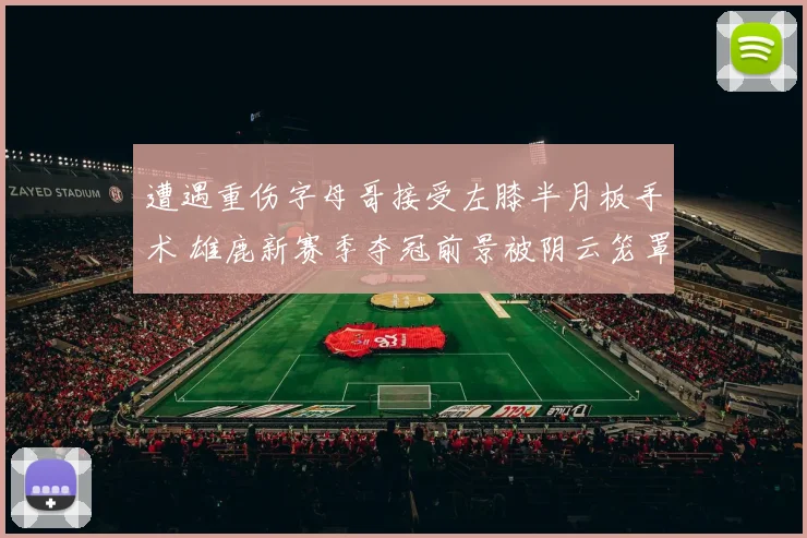 遭遇重伤字母哥接受左膝半月板手术 雄鹿新赛季夺冠前景被阴云笼罩